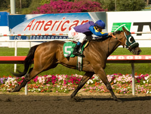 Charlie's Moment Times it Well in Laz Barrera Charlie's Moment Times it Well in Laz Barrera