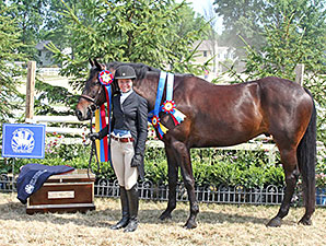 New Vocations to Host 10th Charity Horse Show New Vocations to Host 10th Charity Horse Show