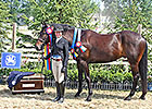 New Vocations to Host 10th Charity Horse Show New Vocations to Host 10th Charity Horse Show