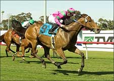 Charm the Giant Thunders to Wilshire Win Charm the Giant Thunders to Wilshire Win