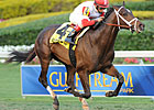 Hawthorne Derby Attracts Charming Kitten Hawthorne Derby Attracts Charming Kitten