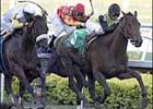 Prep Under Belt, Chatain Pointed to Cigar Mile