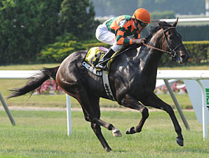 Check the Label Weaves Way to Sands Point Win Check the Label Weaves Way to Sands Point Win