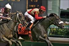 Chelokee Won't Give In, Wins Northern Dancer BC Chelokee Won't Give In, Wins Northern Dancer BC