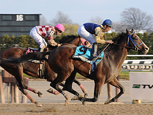Cherokee Country Gets Up in Fall Heighweight Cherokee Country Gets Up in Fall Heighweight