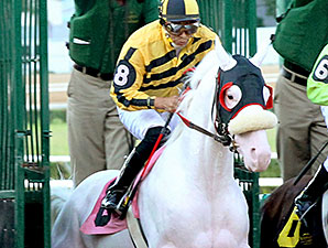 Mahubah's Corner: White Thoroughbreds Mahubah's Corner: White Thoroughbreds