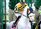 Mahubah's Corner: White Thoroughbreds Mahubah's Corner: White Thoroughbreds