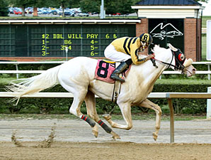 Rare White Thoroughbred Wins at Mountaineer