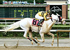 Rare White Thoroughbred Wins at Mountaineer Rare White Thoroughbred Wins at Mountaineer