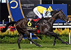 Chinchon Claims Singapore Airlines Cup Chinchon Claims Singapore Airlines Cup