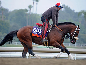 Chips All In, Unbridled's Note Vie in Daytona Chips All In, Unbridled's Note Vie in Daytona