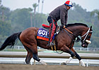 Chips All In, Unbridled's Note Vie in Daytona Chips All In, Unbridled's Note Vie in Daytona
