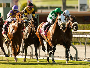 Chips All In All Out to Get Eddie D Nod Chips All In All Out to Get Eddie D Nod