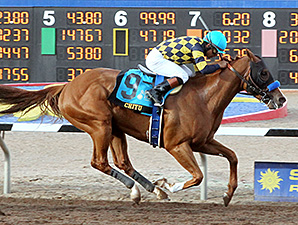 Baffert Duo Chitu, Bayern in Derby Works Baffert Duo Chitu, Bayern in Derby Works