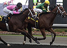 Chris' Brew, Galina Point Top Woodbine Stakes Chris' Brew, Galina Point Top Woodbine Stakes