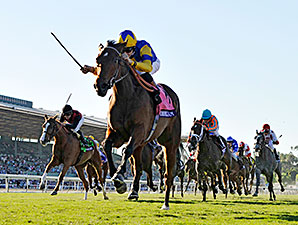 Chriselliam Blows By in Juvenile Fillies Turf Chriselliam Blows By in Juvenile Fillies Turf