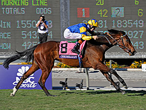 Irish Thoroughbred Industry Numbers Strong Irish Thoroughbred Industry Numbers Strong