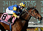 Breeders' Cup Winner Chriselliam Euthanized Breeders' Cup Winner Chriselliam Euthanized