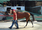 Tornado at Churchill Downs, News Update
