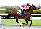 Ciao Bella Luna Shines Brightest in Beaumont Ciao Bella Luna Shines Brightest in Beaumont