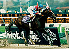 KY Horse Park to Host Memorial for Cigar KY Horse Park to Host Memorial for Cigar