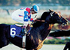 Haskin: Farewell to Cigar Haskin: Farewell to Cigar
