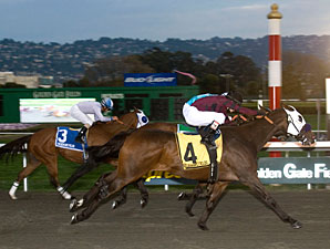 Cigar Man Gives Cerin 1,000th Career Victory Cigar Man Gives Cerin 1,000th Career Victory