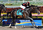 Cigar Street Topples Indy in Skip Away Cigar Street Topples Indy in Skip Away