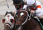 Asmussen, Albarado Team for Four-Win Day Asmussen, Albarado Team for Four-Win Day