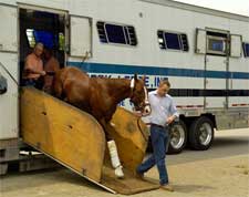 Pletcher's Hopefuls Are in the House Pletcher's Hopefuls Are in the House