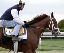 Steve Haskin's Preakness Report: Late Quay Decision a Smart One Steve Haskin's Preakness Report: Late Quay Decision a Smart One