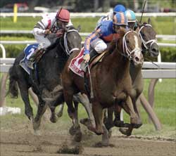 Juvenile Preview: Pletcher Youth Juvenile Preview: Pletcher Youth