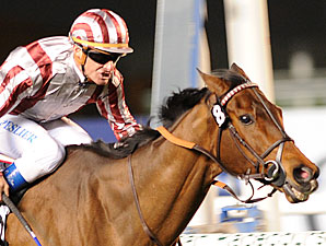 Favored Cirrus des Aigles Out of HK Cup Favored Cirrus des Aigles Out of HK Cup