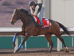 Can Cirrus des Aigles Upset Bluebloods Again? Can Cirrus des Aigles Upset Bluebloods Again?