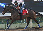 Scintillating Showdown Set for Prix d'Ispahan Scintillating Showdown Set for Prix d'Ispahan