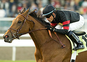 Citronnade Booked to Ghostzapper Citronnade Booked to Ghostzapper