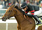 Grade I Winner Citronnade Euthanized Grade I Winner Citronnade Euthanized