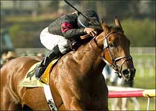 Citronnade Well Tuned for Gamely Score Citronnade Well Tuned for Gamely Score
