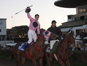 City Banker Tops in Argentine "Breeders' Cup" City Banker Tops in Argentine "Breeders' Cup"
