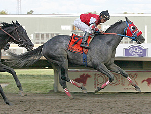 City of Weston Upsets Gallant Bob Field City of Weston Upsets Gallant Bob Field