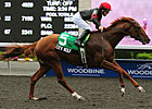 City Wolf Puts Win Streak On Line in Autumn City Wolf Puts Win Streak On Line in Autumn
