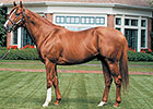 Pedigree Analysis: Zipping Right Along Pedigree Analysis: Zipping Right Along