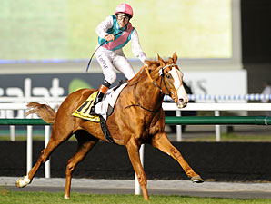 Deauville's Le Marois to Offer Mile Bid Deauville's Le Marois to Offer Mile Bid