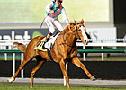 Deauville's Le Marois to Offer Mile Bid Deauville's Le Marois to Offer Mile Bid