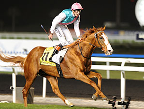 Dubai Duty Free Winner Cityscape to Overbury Dubai Duty Free Winner Cityscape to Overbury