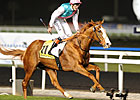 Dubai Duty Free Winner Cityscape to Overbury Dubai Duty Free Winner Cityscape to Overbury
