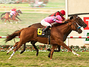 Yellow Ribbon Features John Mabee Rematch Yellow Ribbon Features John Mabee Rematch