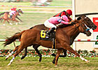 Yellow Ribbon Features John Mabee Rematch Yellow Ribbon Features John Mabee Rematch