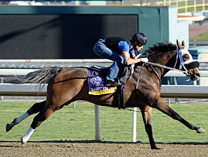 Class Included Gets Some Relief in Bayakoa Class Included Gets Some Relief in Bayakoa