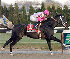 Classic Endeavor Persists in Queen's County Classic Endeavor Persists in Queen's County
